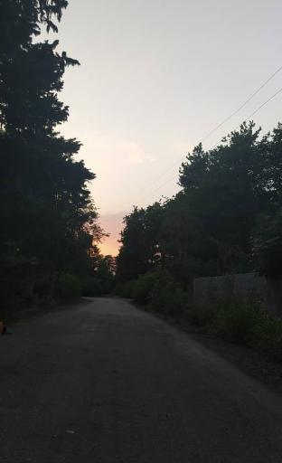 عکس پارک ارغوان