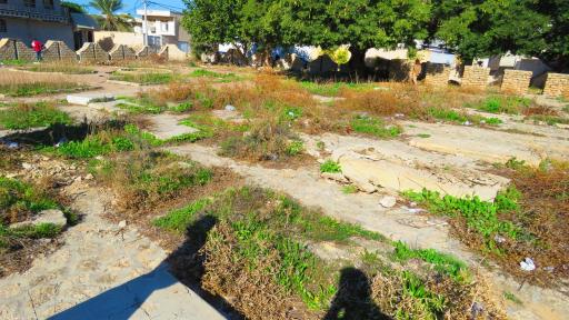 عکس قبرستان انگلیسی ها