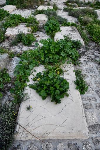 عکس قبرستان انگلیسی ها