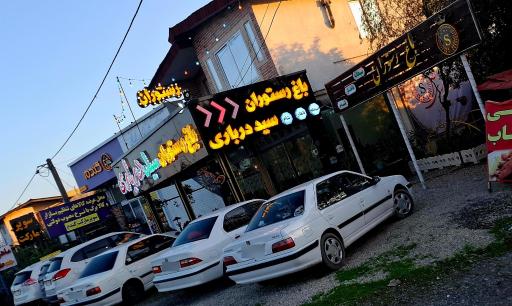 عکس باغ رستوران سید درباری