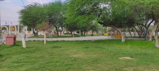 عکس بندر ماهشهر