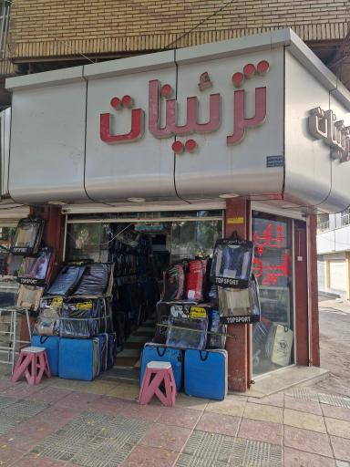 عکس تزیینات خودرو