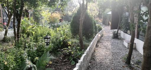 عکس باغ رستوران سید درباری