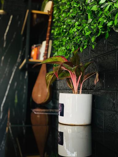 عکس ☕️کافه وطن