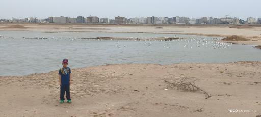 عکس بندر ماهشهر