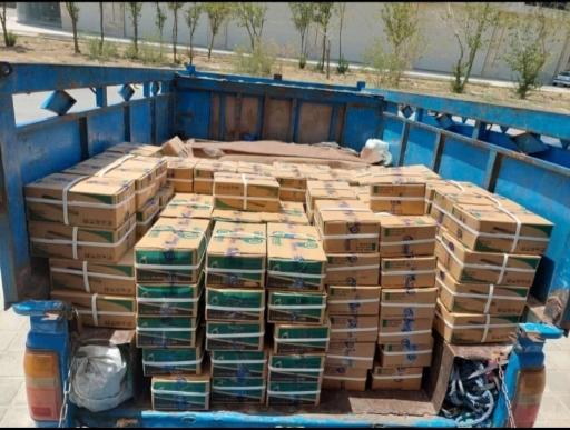 عکس پخش یراق آلات یویا یراق