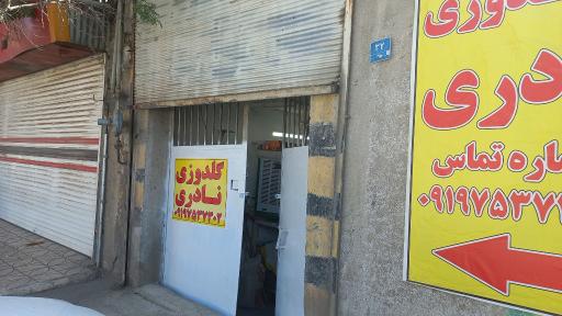 عکس گلدوزی نادری 