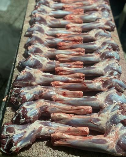 عکس مجتمع پروتئین سامیت