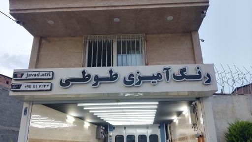 عکس رنگ آمیزی اتومبیل طوطی