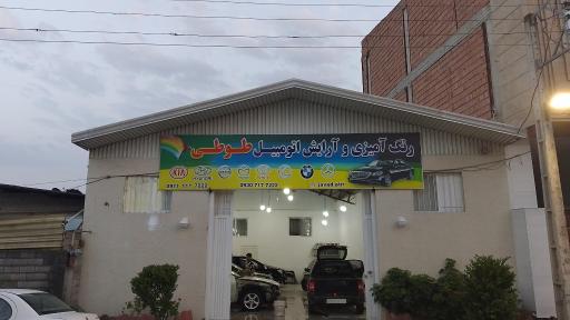 عکس رنگ آمیزی اتومبیل طوطی