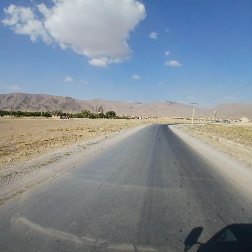 عکس خنجشت