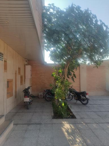 ستاد اجرایی فرمان امام