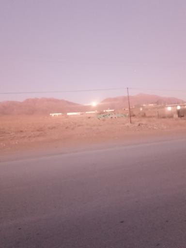 عکس خنجشت