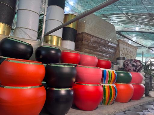 عکس باغ گل ایران رز