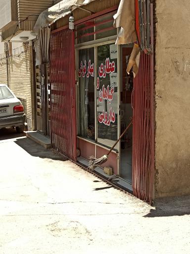 عکس عطاری و گیاهان دارویی بهار نوش