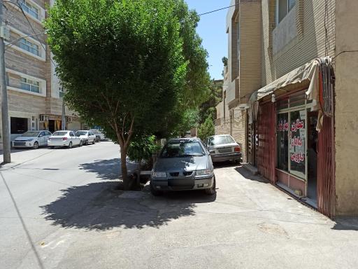 عکس عطاری و گیاهان دارویی بهار نوش