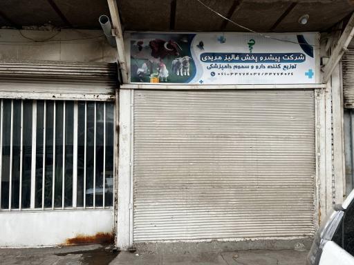 عکس شرکت پیشرو پخش فالیز مریدی