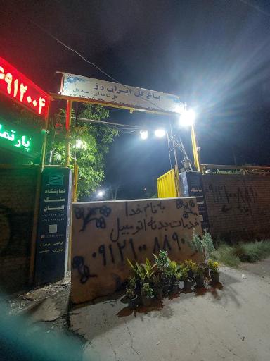 عکس باغ گل ایران رز