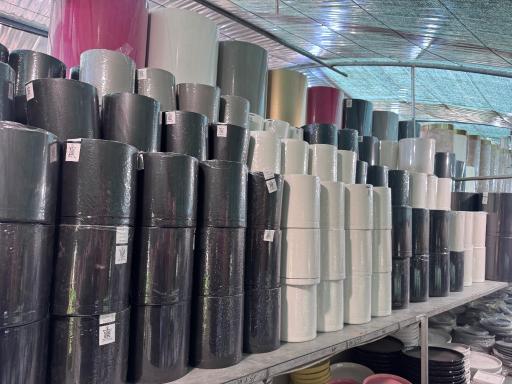 عکس باغ گل ایران رز