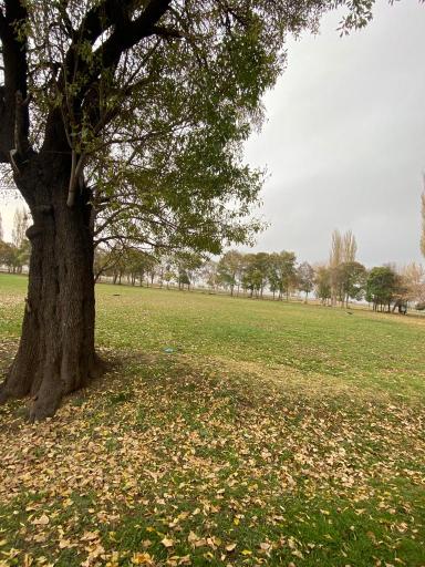 عکس بردسیر