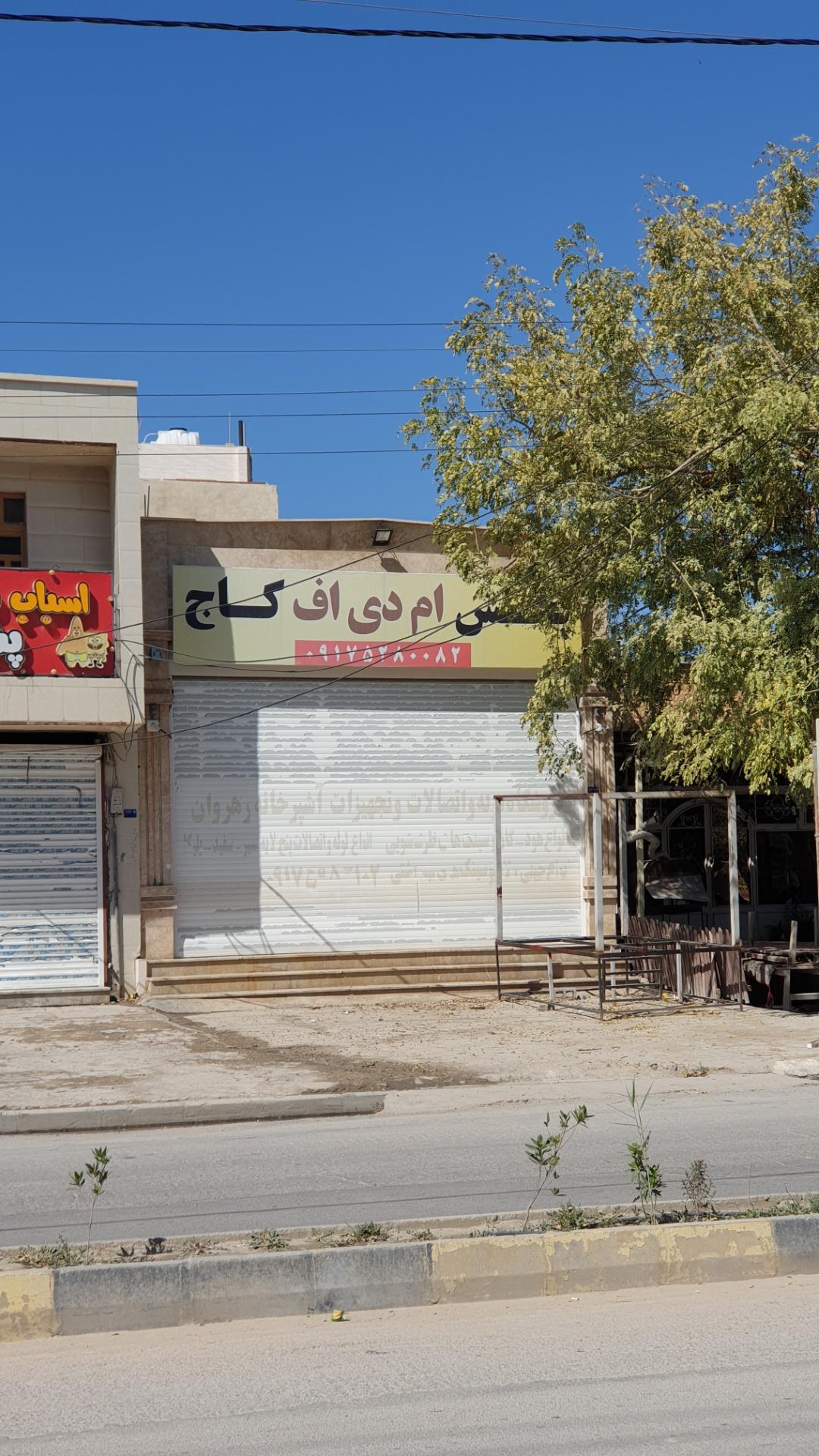 عکس پخش ام دی اف کاج