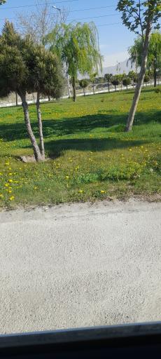 عکس پارک صدف