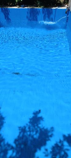 عکس باغ کیاشا