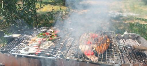 عکس باغ کیاشا