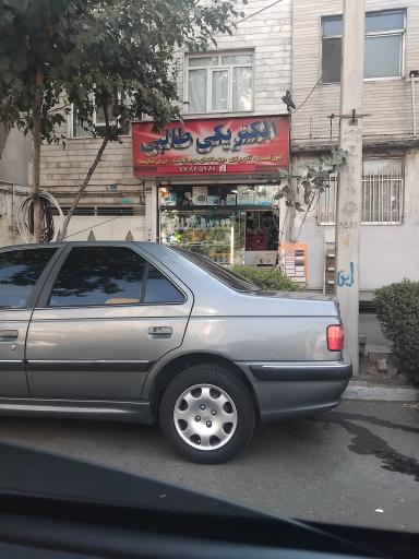 عکس الکتریکی طالبی