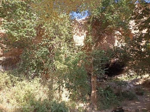 عکس چشمه سار