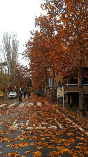 عکس دانشکده مهندسی عمران - ساختمان شماره 2