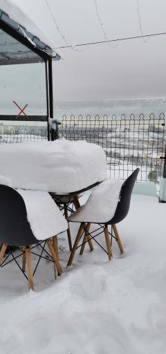 عکس پیتزا دراگون