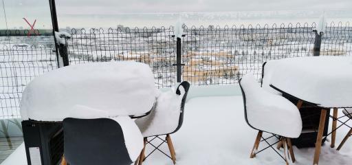 عکس پیتزا دراگون