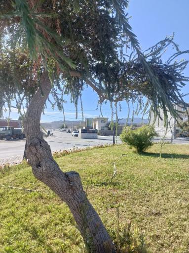 عکس میدان امام حسین