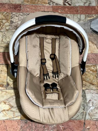 عکس تولیدی سیسمونی گندم