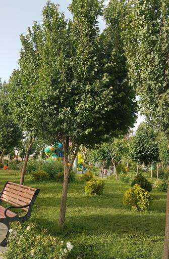 عکس پارک یاس نقاوت