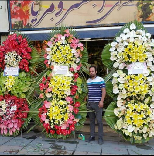 عکس گلسرای آلسترو مریا