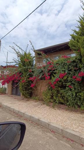 عکس تشبندان