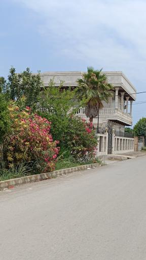 عکس تشبندان