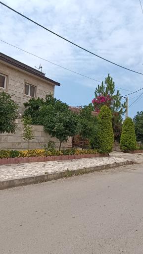 عکس تشبندان