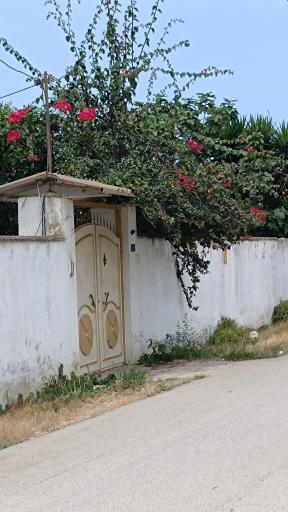 عکس تشبندان