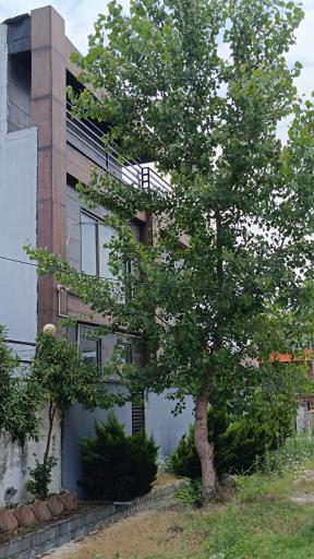 عکس تشبندان