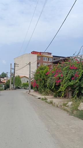عکس تشبندان