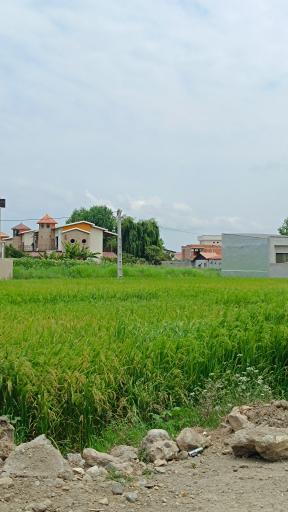 عکس تشبندان