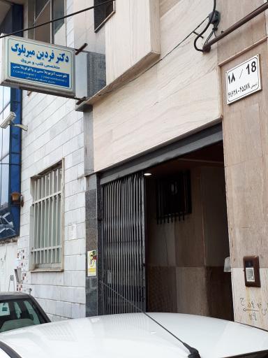 مطب دکتر فردین میربلوک