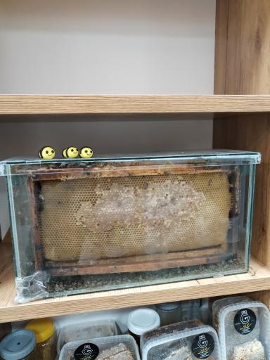 عسل قره چمن