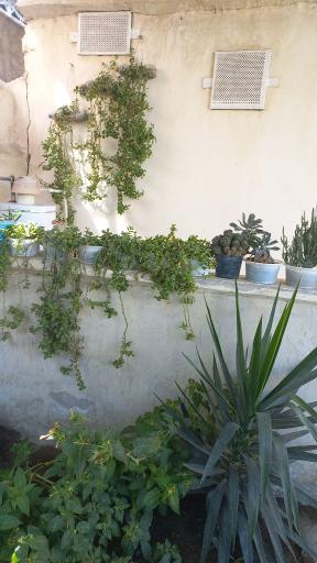 عکس سوئیت آپارتمانی ویلائی 