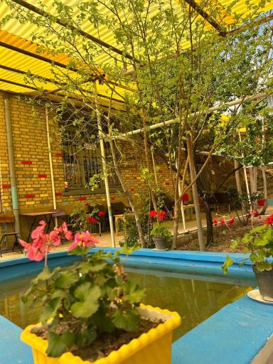 عکس کافه باغ هنر 