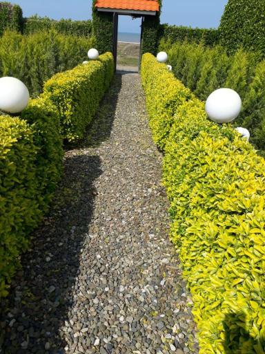 عکس اجاره ویلای ساحلی احمدی