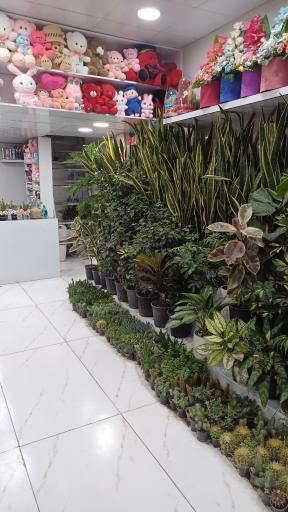 عکس گلسرای مریم هشتگرد